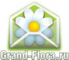 Логотип компании Доставка цветов Гранд Флора (ф-л г.Красноармейск)